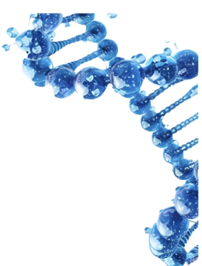 DNA Abstract